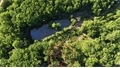 Terrain boisé  forêt à la vente